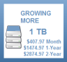1TB Online Backup Storage